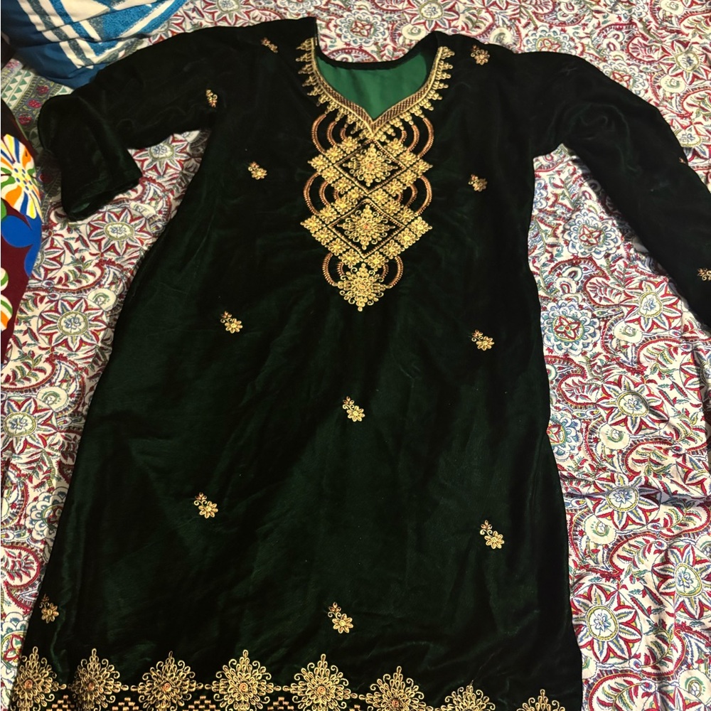 Elegant green and Gold Embroidered velvetDress